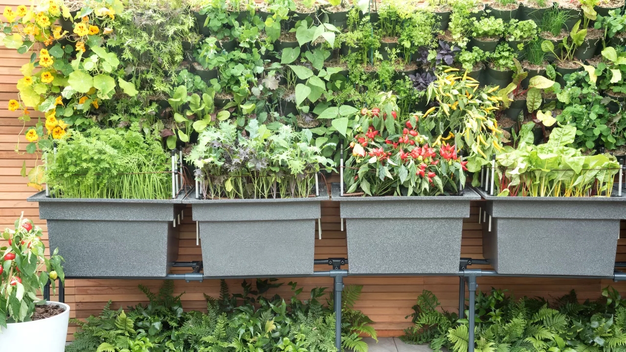  12 tips en ideeën voor een verticale tuin thuis