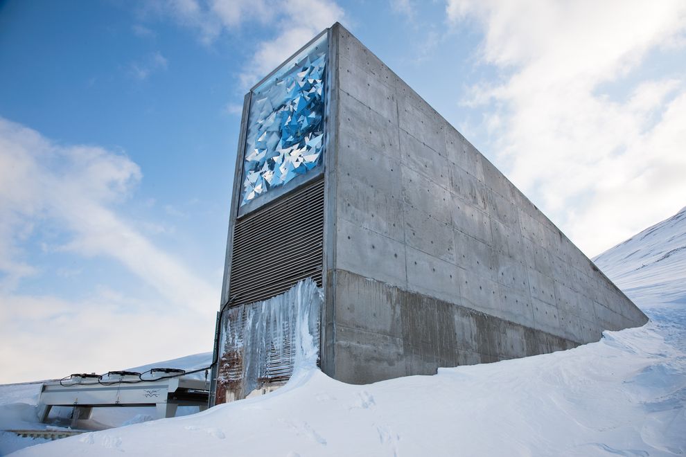  Arctische kluis bevat zaden van bijna de hele wereld