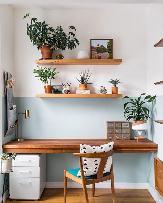  7 plante și flori ideale pentru biroul de acasă