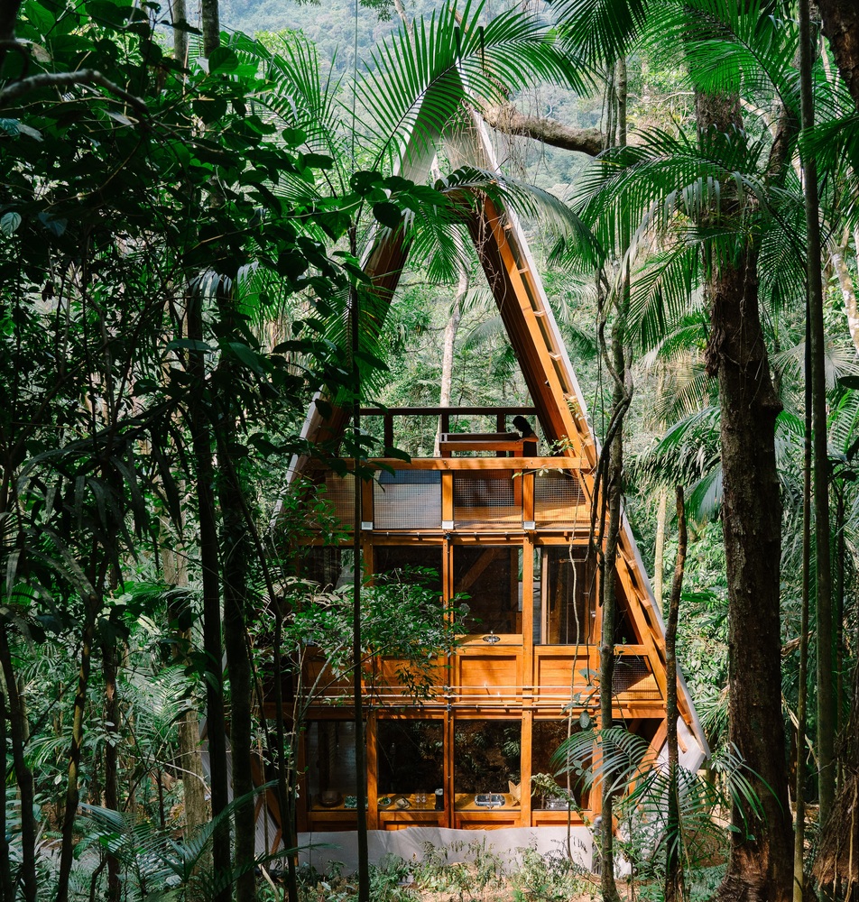 Marko Brajovic creëert het apenhuis in het bos van Paraty