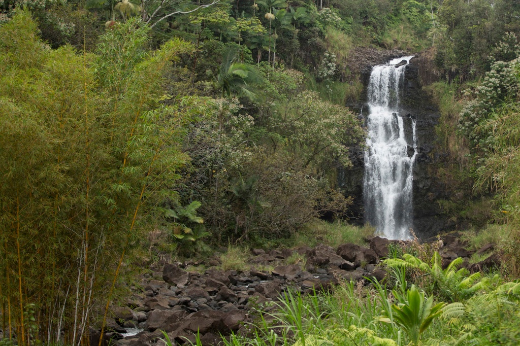  Series for Rent a Paradise: 3 ótrúlegar dvöl á Hawaii