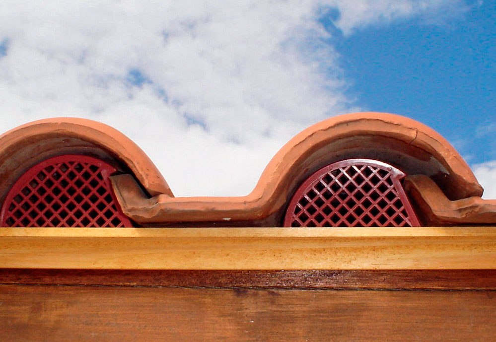  Si të parandaloni që zogjtë të ngrihen në tavanin e shtëpive?