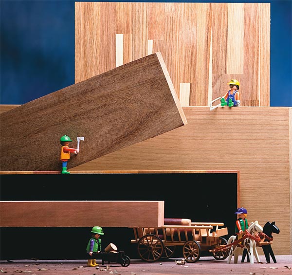  10 houtsoorten voor gebruik op de bouwplaats - van steiger tot dak