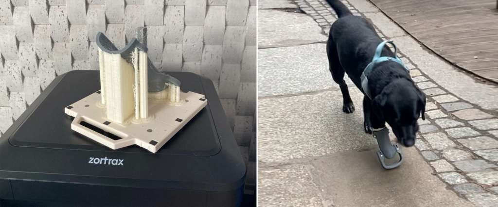  Dierenarts print 3D prothese om puppy's te laten lopen
