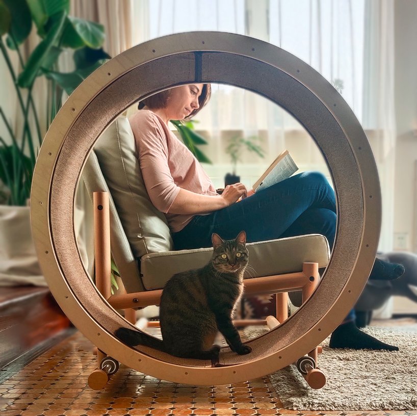  Chaise de partage de chat : une chaise pour que vous et votre chat soyez toujours ensemble