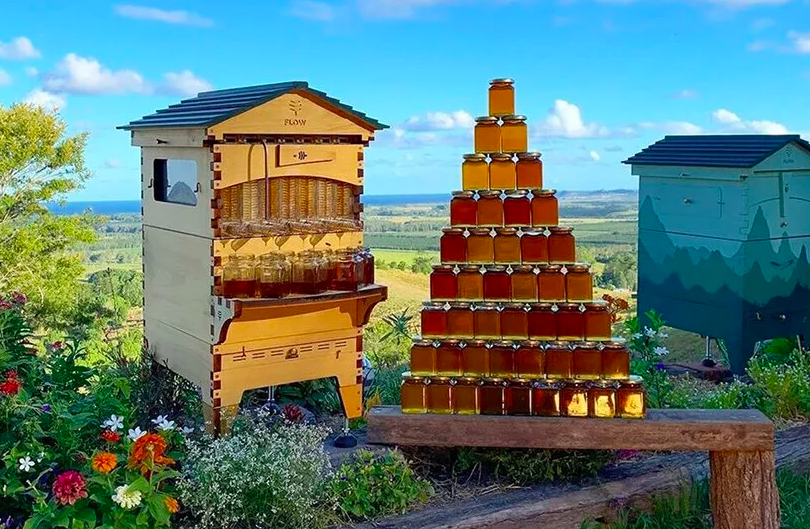  Bu arı evi ilə siz öz balınızı toplaya bilərsiniz