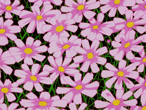  玫瑰人生：8种粉色叶片的植物