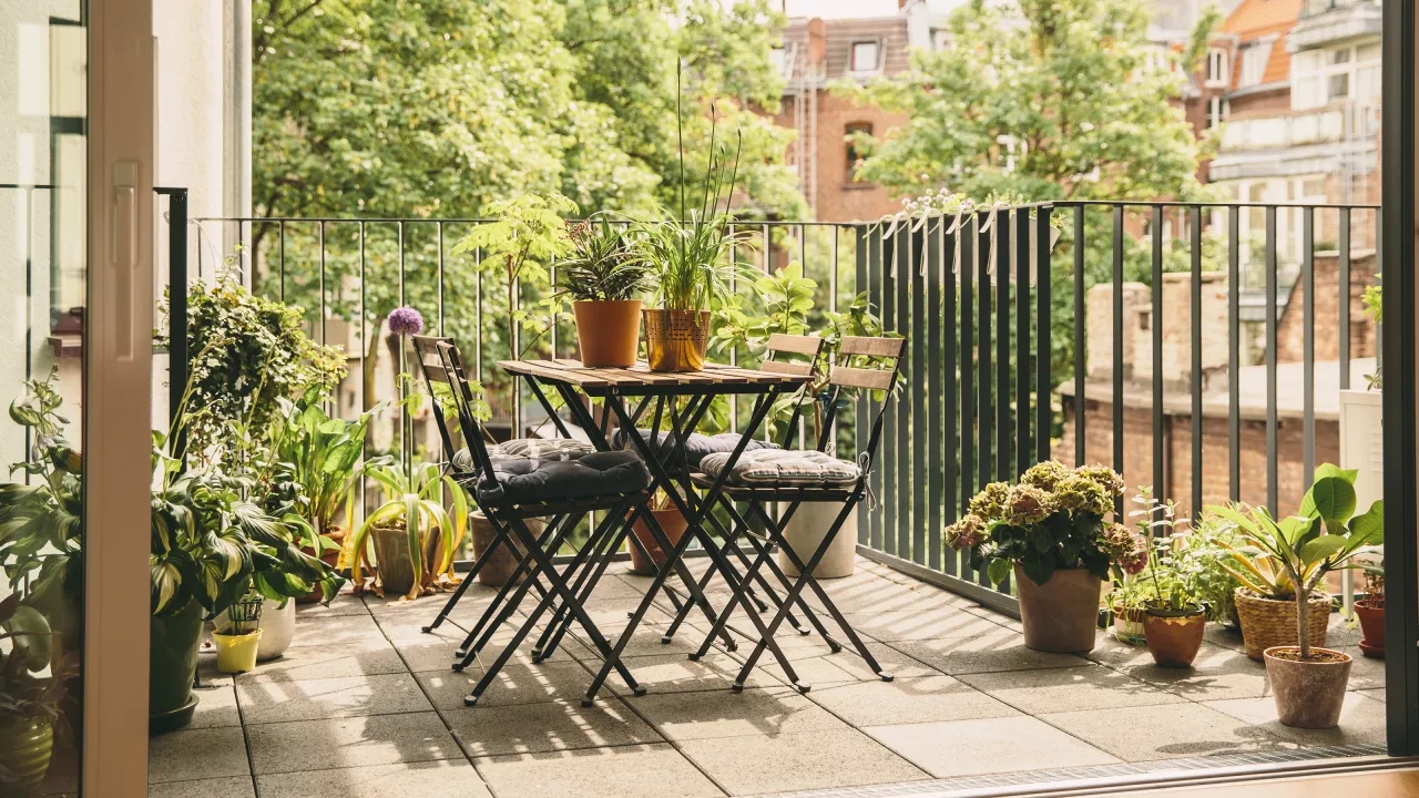  23 компактни растения за вашия балкон