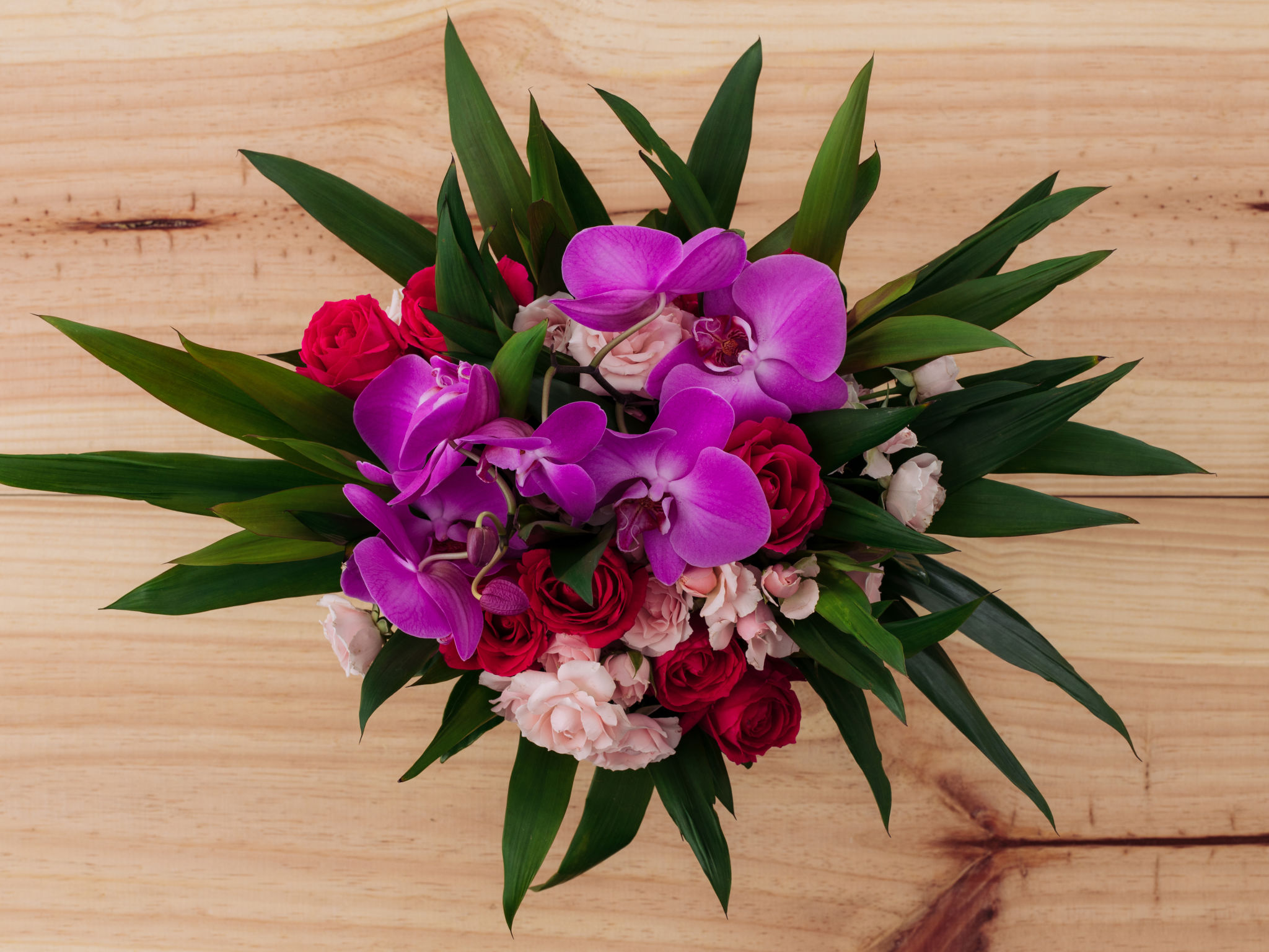  Como coidar as orquídeas: 4 consellos sinxelos para unhas flores sempre fermosas