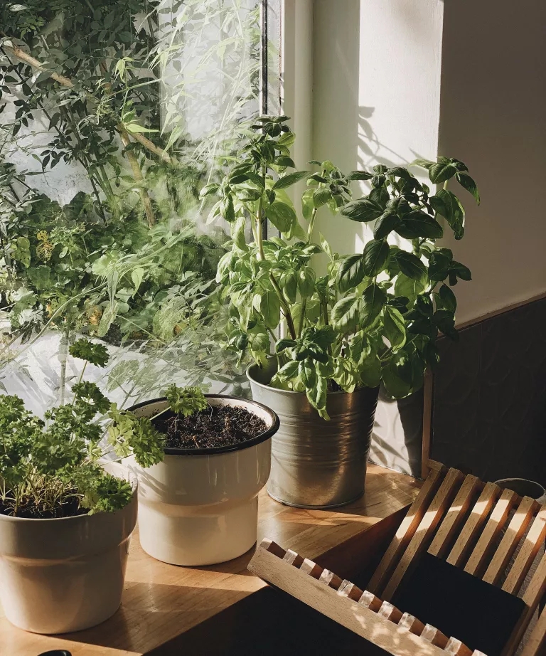  Savjeti za vrtove u malim prostorima