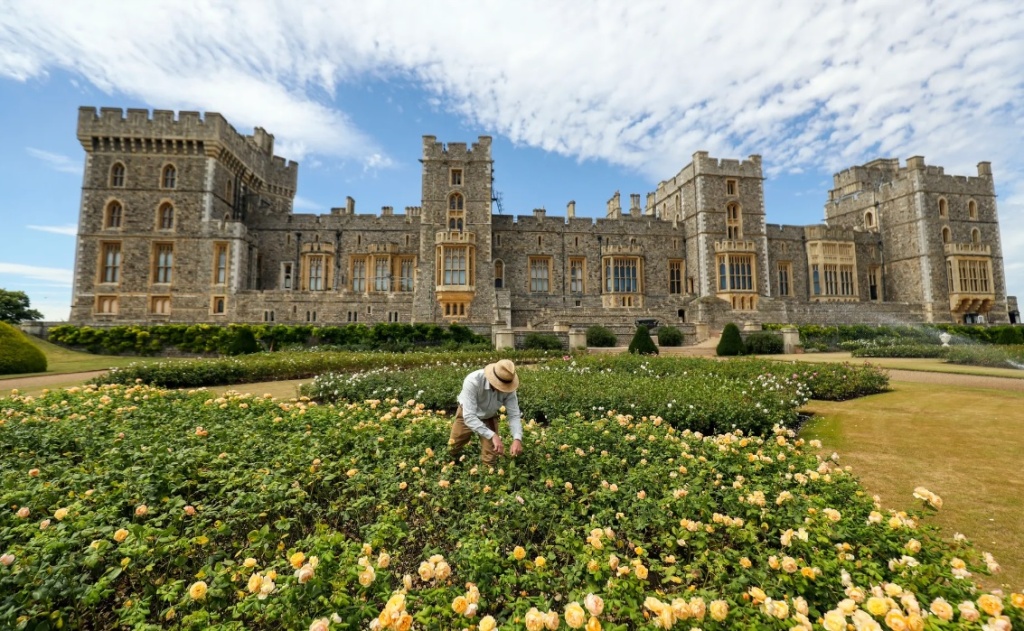  👑 Задолжителни растенија во градините на кралицата Елизабета 👑