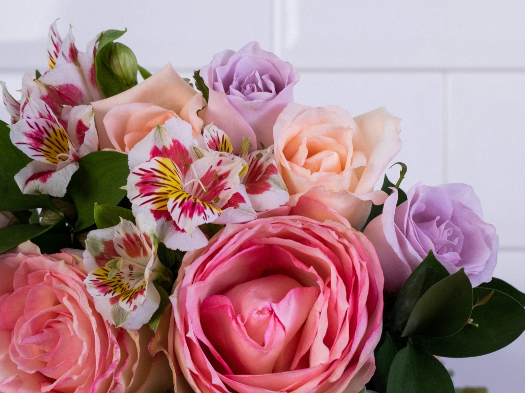  Types de fleurs : 47 photos : 47 photos pour décorer votre jardin et votre maison !