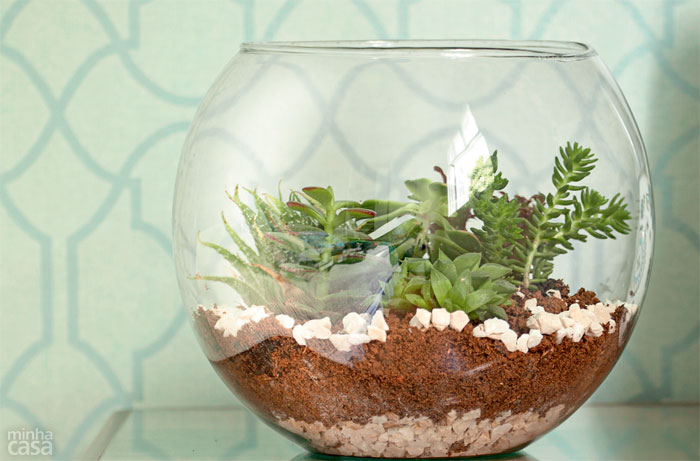  Trinn for trinn: lær å lage et terrarium