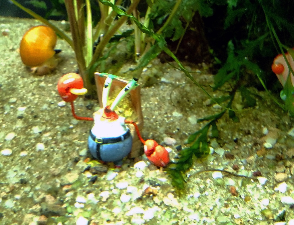  Украсете аквариума си с героите на Спонджбоб Квадратни гащи