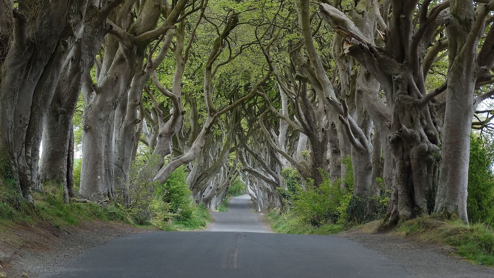  Game of Thrones: 17 địa điểm trong sê-ri sẽ ghé thăm trong chuyến đi tiếp theo của bạn