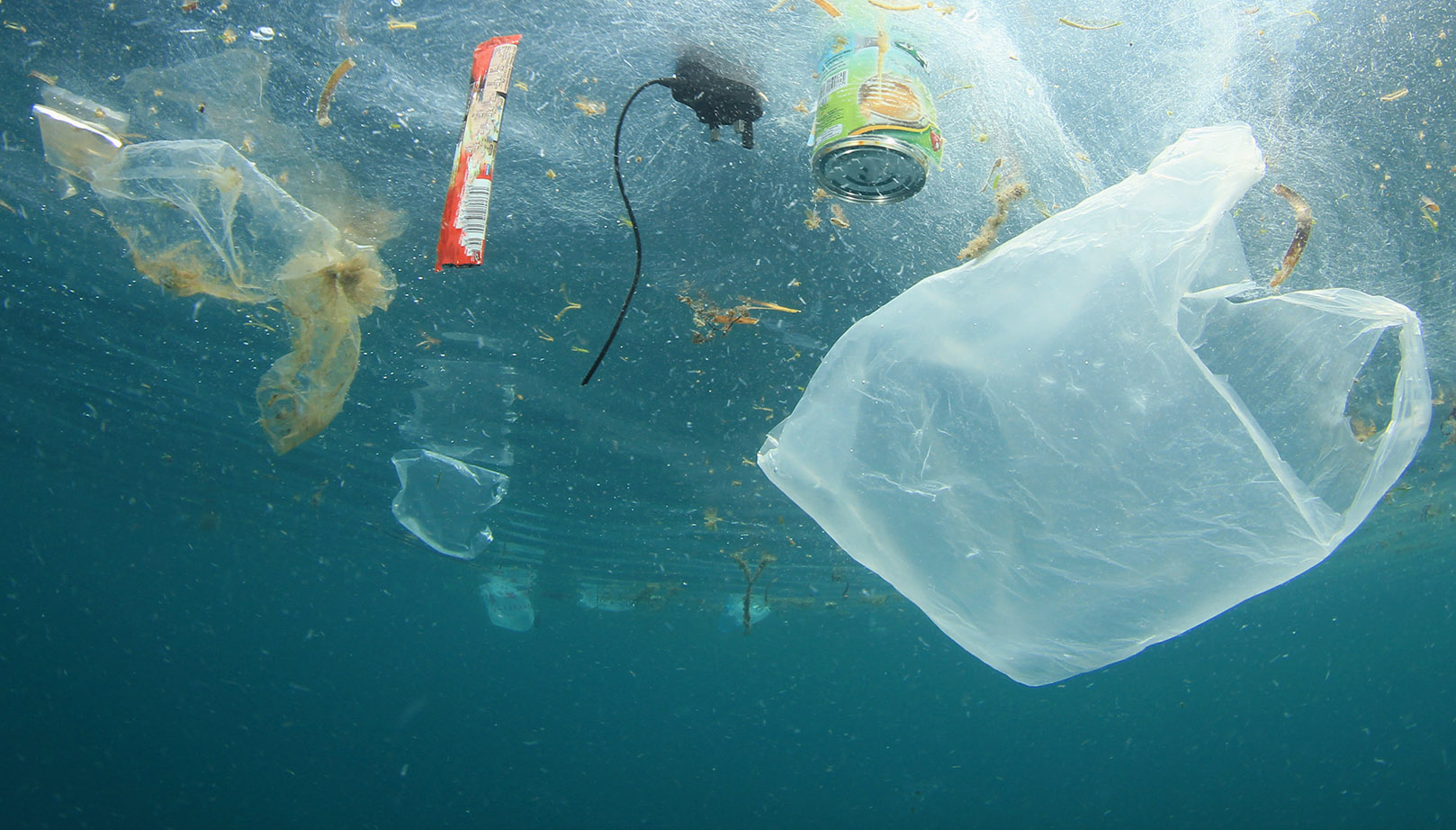  July Without Plastic: pagkatapos ng lahat, tungkol saan ang kilusan?